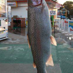 としまえんフィッシングエリア 釣果