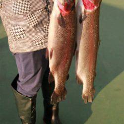 としまえんフィッシングエリア 釣果