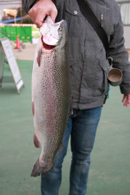 としまえんフィッシングエリア 釣果