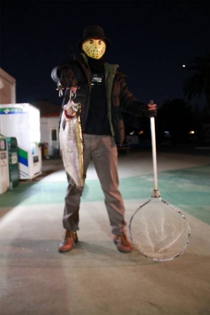 としまえんフィッシングエリア 釣果