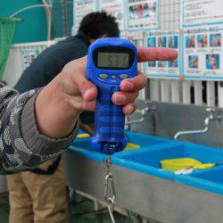 としまえんフィッシングエリア 釣果