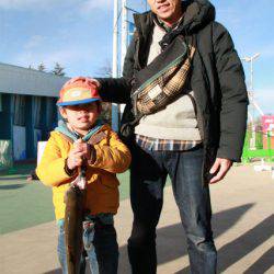 としまえんフィッシングエリア 釣果