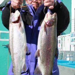 としまえんフィッシングエリア 釣果