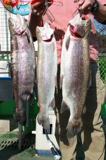 としまえんフィッシングエリア 釣果