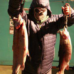 としまえんフィッシングエリア 釣果