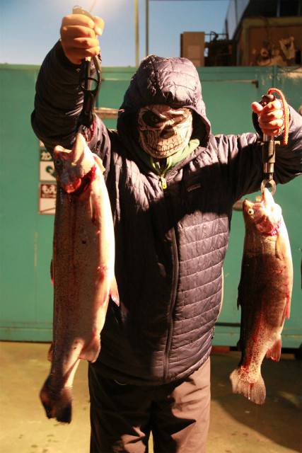 としまえんフィッシングエリア 釣果