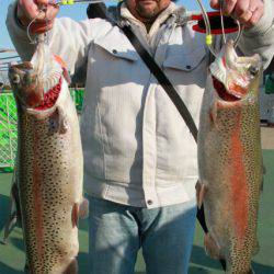 としまえんフィッシングエリア 釣果