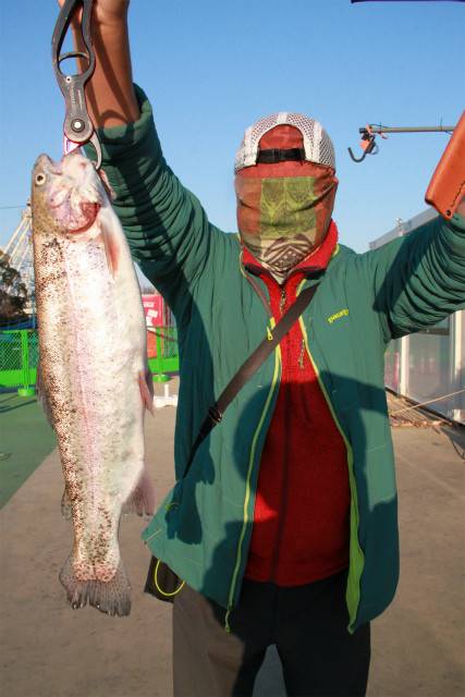 としまえんフィッシングエリア 釣果