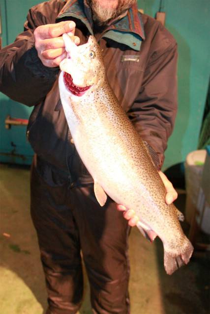 としまえんフィッシングエリア 釣果