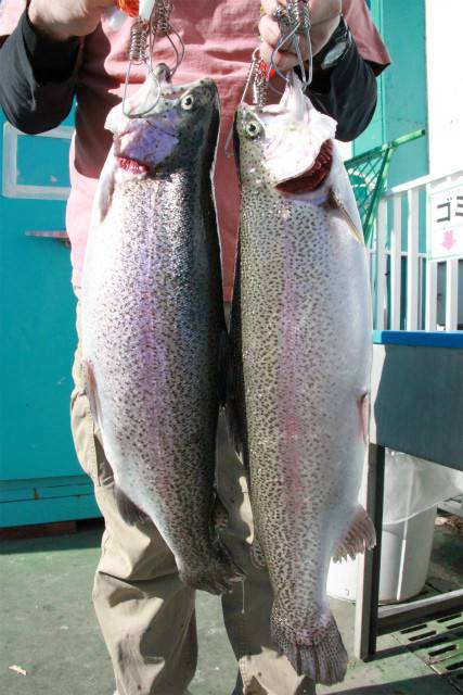 としまえんフィッシングエリア 釣果