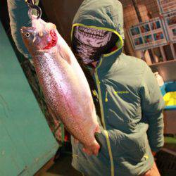 としまえんフィッシングエリア 釣果