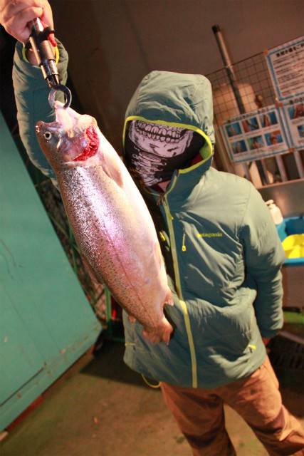 としまえんフィッシングエリア 釣果