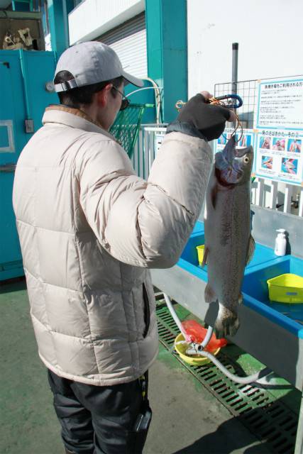 としまえんフィッシングエリア 釣果