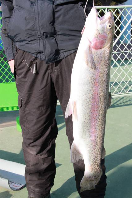 としまえんフィッシングエリア 釣果