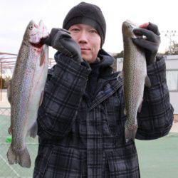 としまえんフィッシングエリア 釣果