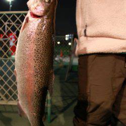 としまえんフィッシングエリア 釣果