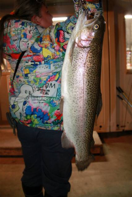 としまえんフィッシングエリア 釣果