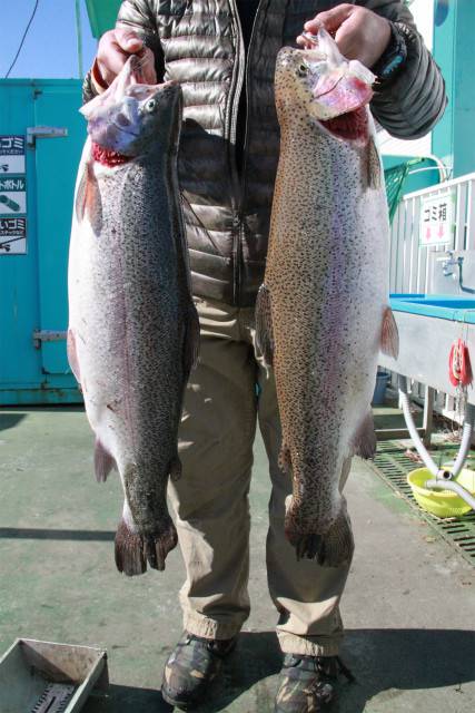 としまえんフィッシングエリア 釣果