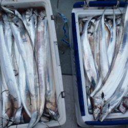 フィッシング キッタカ 釣果