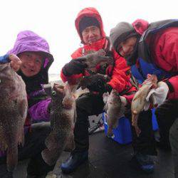 シーランチ 釣果