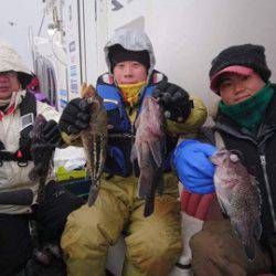 シーランチ 釣果