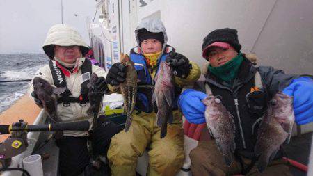 シーランチ 釣果