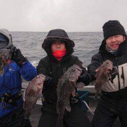 シーランチ 釣果