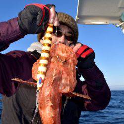 渡船屋たにぐち 釣果