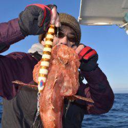 渡船屋たにぐち 釣果