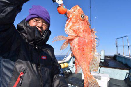 渡船屋たにぐち 釣果