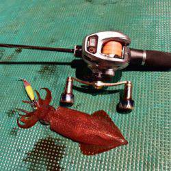 渡船屋たにぐち 釣果