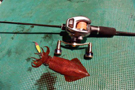 渡船屋たにぐち 釣果