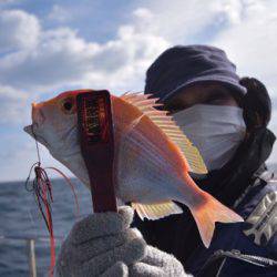 渡船屋たにぐち 釣果