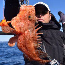 渡船屋たにぐち 釣果