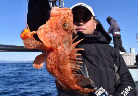 渡船屋たにぐち 釣果