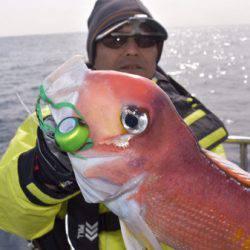 渡船屋たにぐち 釣果