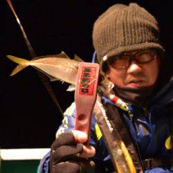 渡船屋たにぐち 釣果