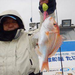 渡船屋たにぐち 釣果