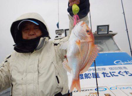 渡船屋たにぐち 釣果
