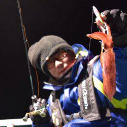 渡船屋たにぐち 釣果