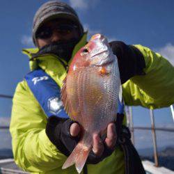 渡船屋たにぐち 釣果