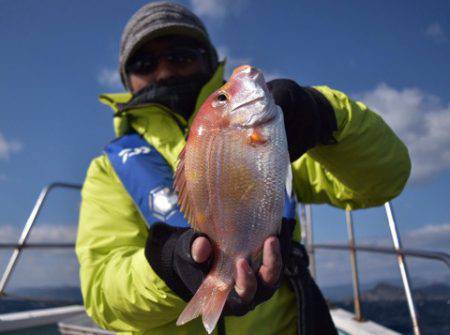 渡船屋たにぐち 釣果