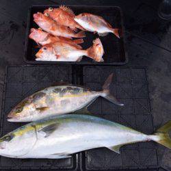 渡船屋たにぐち 釣果