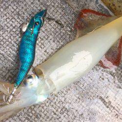 第二 海洋丸 釣果