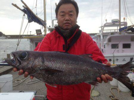 晃山丸 釣果