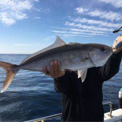 ＴＡＲＯＭＡＲＵ 釣果