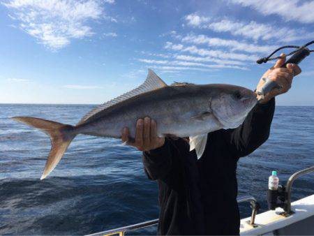 ＴＡＲＯＭＡＲＵ 釣果