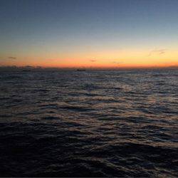 ＴＡＲＯＭＡＲＵ 釣果