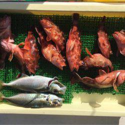 Ｖ−７ West 釣果