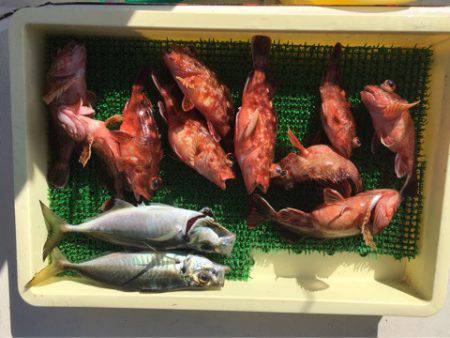 Ｖ−７ West 釣果